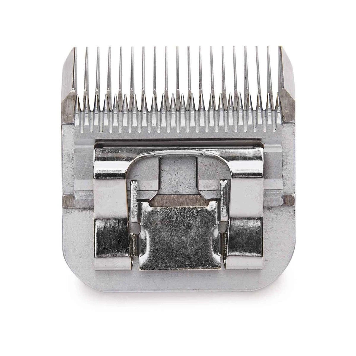 AGS 3 3/4 F Blade 5 AGS 3 3/4 F Blade - Image 3