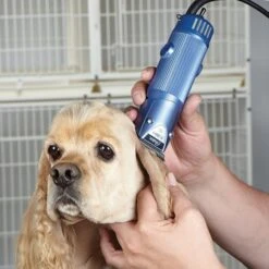 Oster® Oster Turbo A5 2-Speed Clipper With #10 Blade -Dog Grooming Shop os28310 3