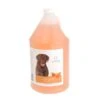 Oster® Oster HydroSurge Tangerine Clean Shampoo Gal -Dog Grooming Shop os294 91 default