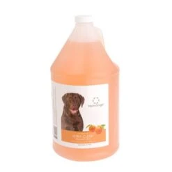 Oster® Oster HydroSurge Tangerine Clean Shampoo Gal