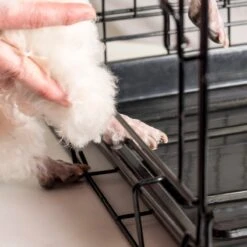 The Paw Saver Small Black -Dog Grooming Shop pawsaver a093694 4