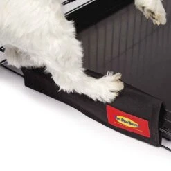 Grooming Safety By Jessica - The Paw Saver