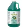PPP AromaCare Revital Eucalyptus Shampoo Gal