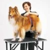 Master Equipment Adjustable Grooming Supports -Dog Grooming Shop tp206 25 002