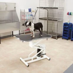 Master Equipment Bone-Shaped Hydraulic Tables -Dog Grooming Shop tp306 17 5