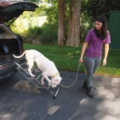 Master Equipment Pet Stairs -Dog Grooming Shop tp3843 03 022 010 1