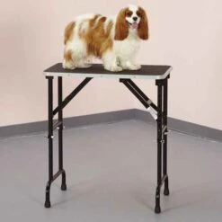 Master Equipment Adjustable Height Grooming Tables -Dog Grooming Shop tp698 1