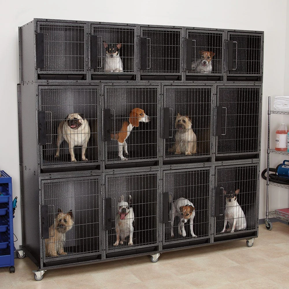 ProSelect Modular Kennel Cage 13 Unit Graphite 3 ProSelect Modular Kennel Cage 13 Unit Graphite
