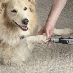 Dremel Cordless Variable Speed Nail Grinder Kit -Dog Grooming Shop zw7760 36b